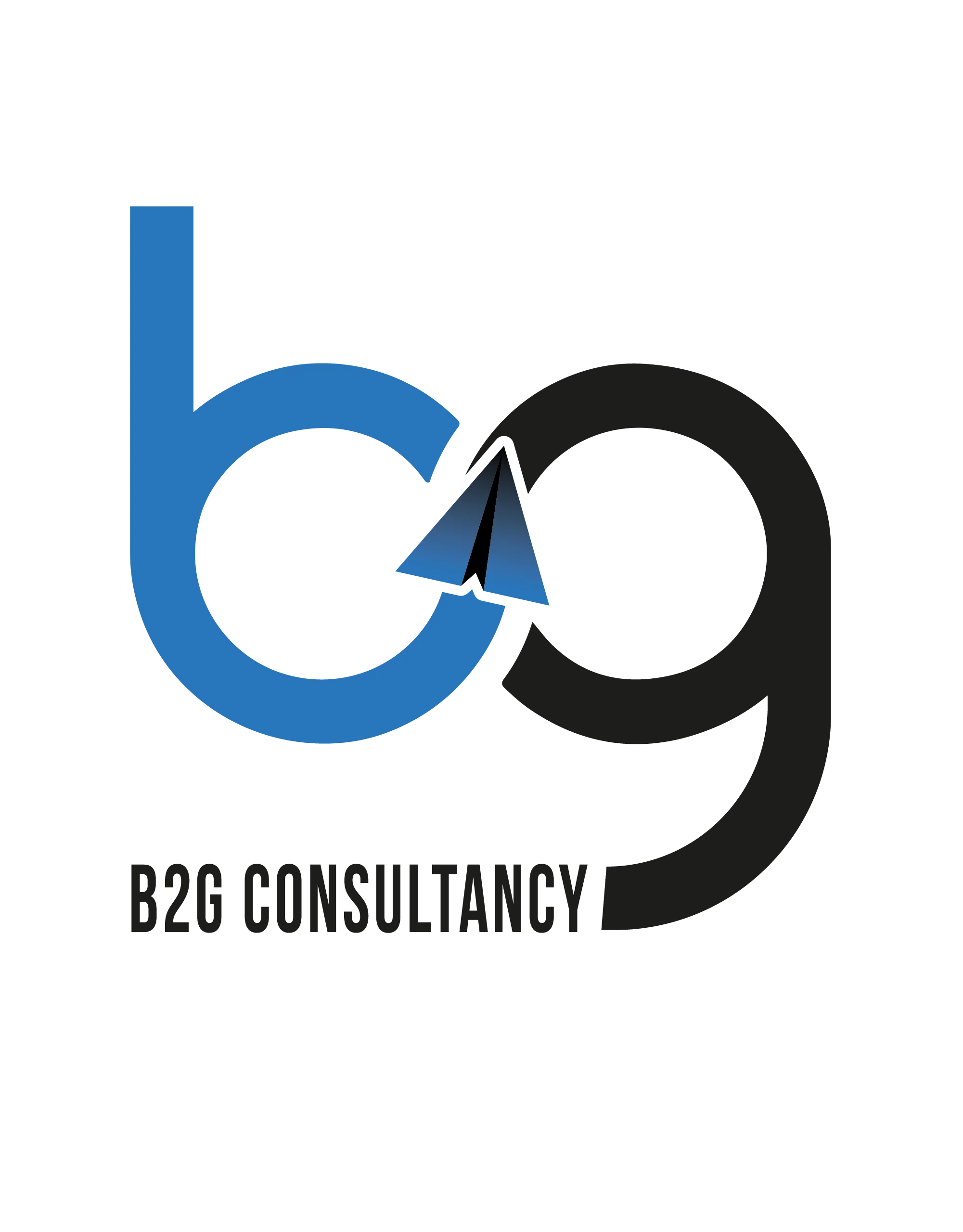b2gconsultancy.com